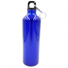 Aluminum water bottle Eco1shop Colored plain 700 ml